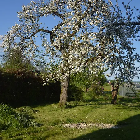 公寓 Grosse Im Ederbergland Beim Zaemmermichel